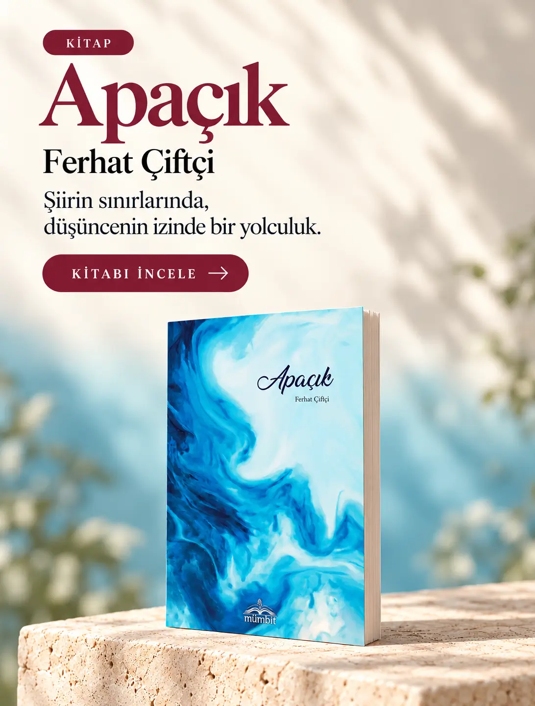 apacik-mobil